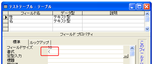 テキスト型の書式の設定