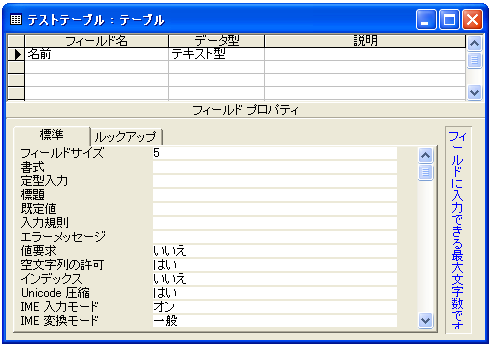 テキスト型の文字数の設定