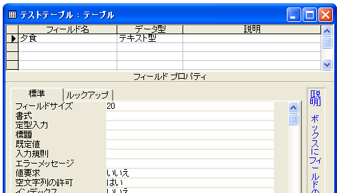 値要求と空文字の許可