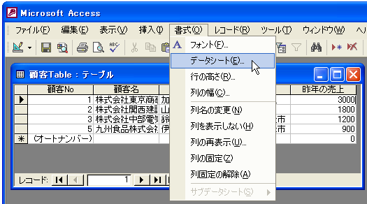 データシートビューの背景色などを指定する