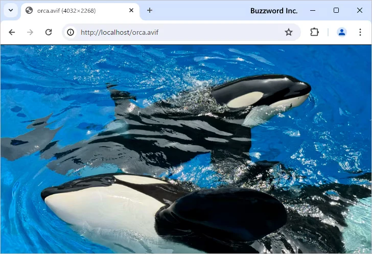 AVIF形式の画像に対するMIMEタイプを登録する(3)