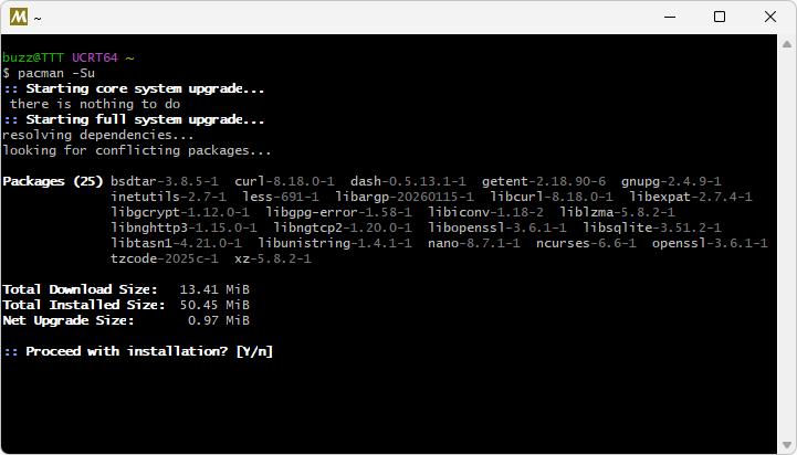 MSYS2のダウンロードとインストール(16)