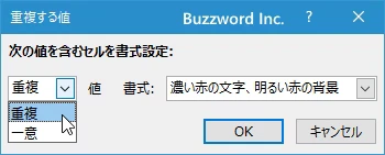 重複した値のセルに書式を設定する(5)