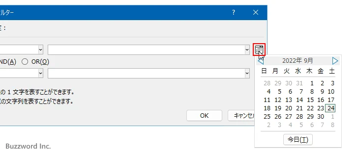 日付フィルター(4)
