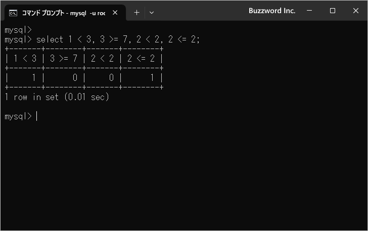 大小の比較(1)