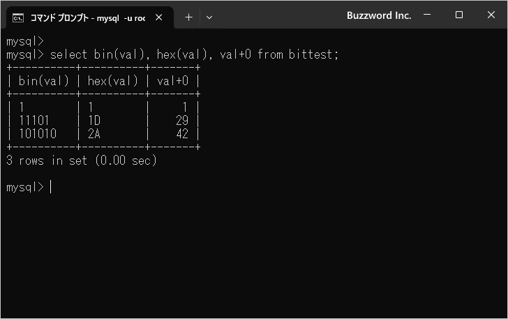 BIT型について(3)