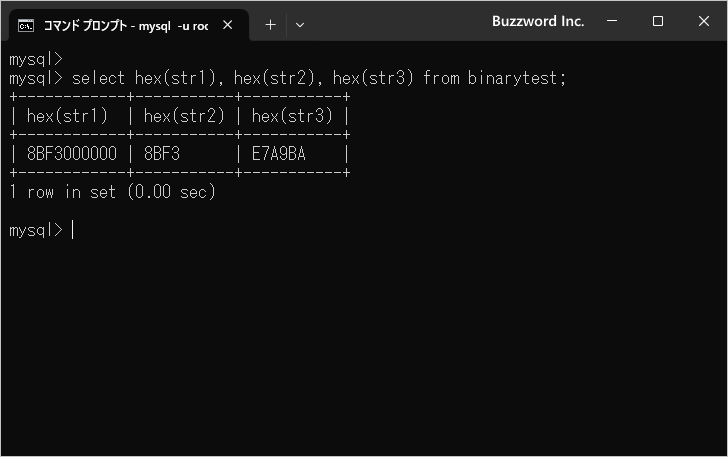 バイナリデータがどのように格納されるか(3)