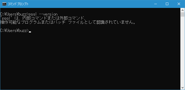 PATHが正しく設定されたか確認する(2)