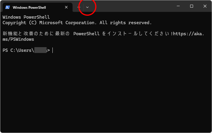 ターミナルから起動する(3)