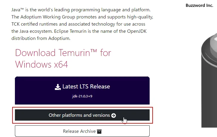 Eclips Temurin JDKのダウンロード(4)