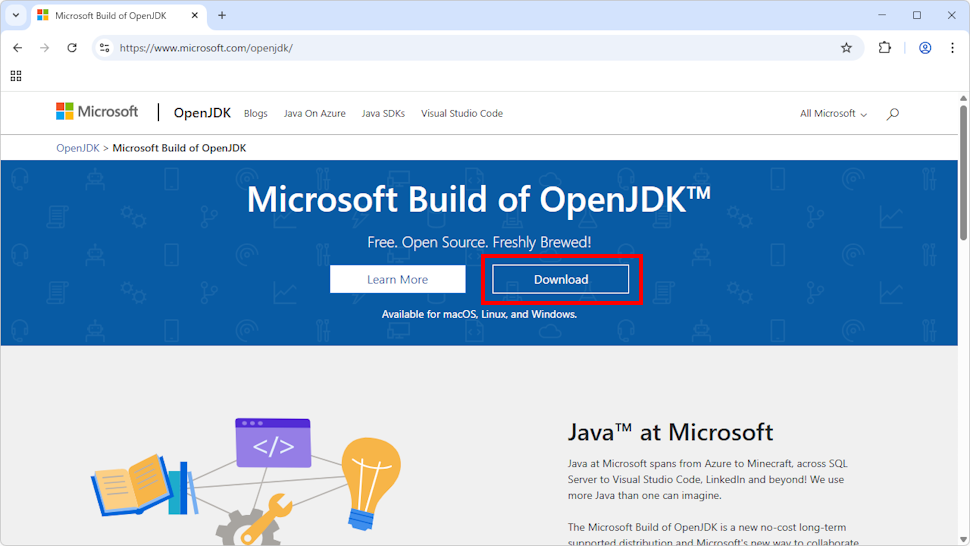 Microsoft Build of OpenJDKのダウンロード(2)