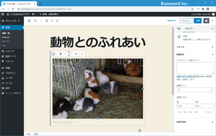 「大」サイズや「中」サイズの画像を作成しない(1)