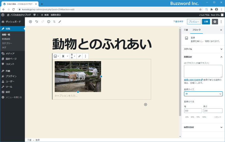 画像のサイズを「サムネイル」「中」「大」「フルサイズ」から選択する(11)