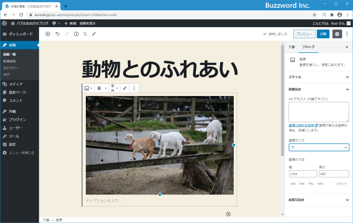 画像のサイズを「サムネイル」「中」「大」「フルサイズ」から選択する(13)