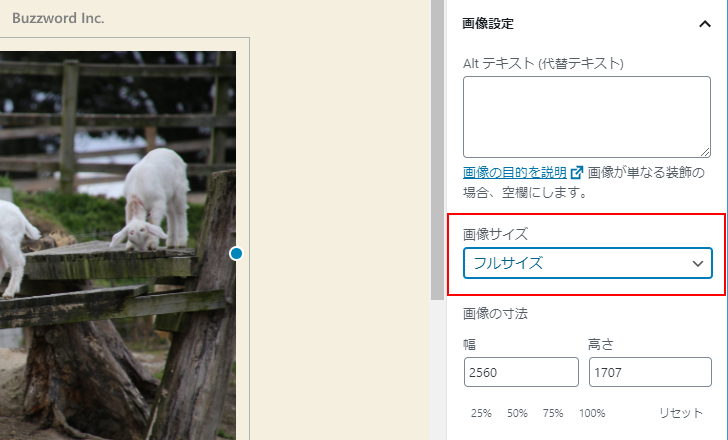 画像のサイズを「サムネイル」「中」「大」「フルサイズ」から選択する(17)