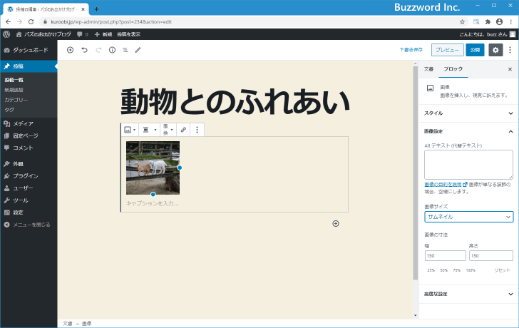 画像のサイズを「サムネイル」「中」「大」「フルサイズ」から選択する(9)