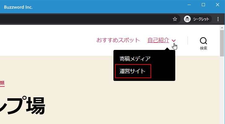 ブログでどのように表示されるのか(5)